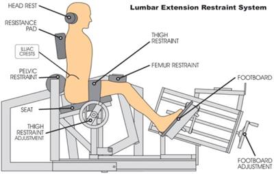 The effects of a 12-week combined motor control exercise and isolated lumbar extension intervention on lumbar multifidus muscle stiffness in individuals with chronic low back pain